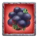 icon 7