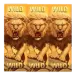 icon 10