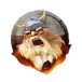 icon 1