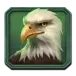 icon 4