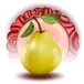 icon 3