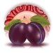 icon 4