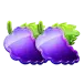 icon 5