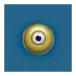 icon 9