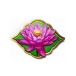 icon 4