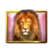 icon 12
