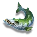 icon 4
