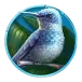 icon 6