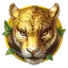 icon 4