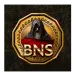 icon 9