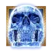 icon 12