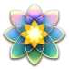 icon 9