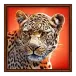 icon 2