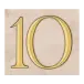 icon 10