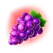 icon 7