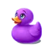 icon 6