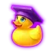 icon 2