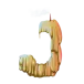 icon 9