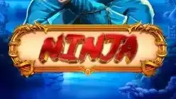 Ninja