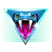 icon 5