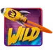 icon 1