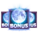 icon 13
