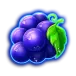 icon 5