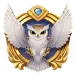 icon 1