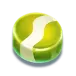icon 4