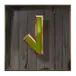 icon 10