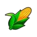 icon 6
