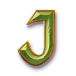 icon 8