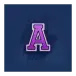 icon 4