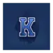 icon 5