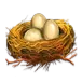 icon 6