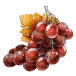 icon 4