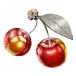 icon 9