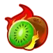 icon 4