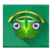 icon 4
