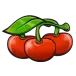 icon 6