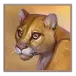 icon 5