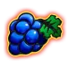 icon 5