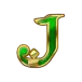 icon 9
