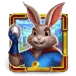 icon 10