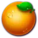 icon 6