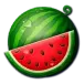 icon 4