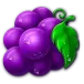 icon 5