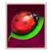 icon 2
