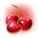 icon 10