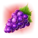 icon 6